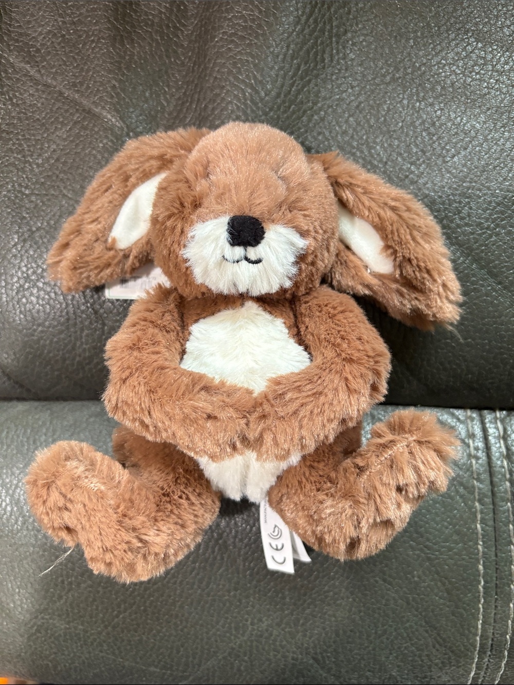 Bath and body works stuffed bunny named Hopkins